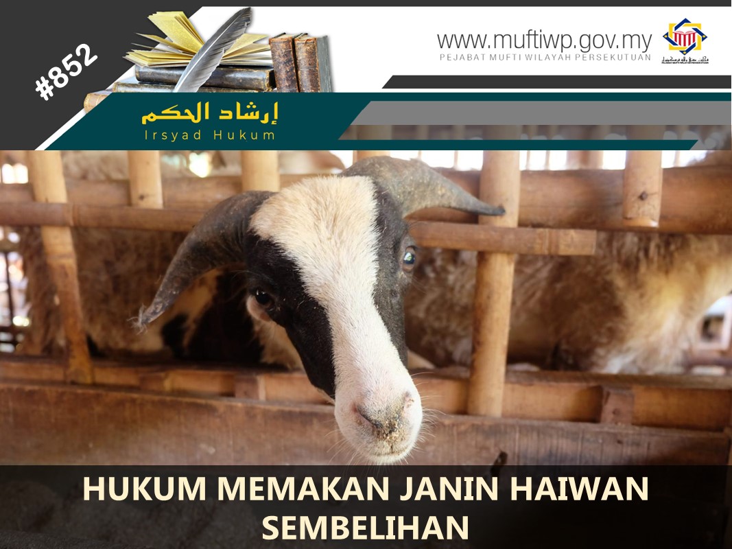 APAKAH_HUKUM_MEMAKAN_JANIN_HAIWAN_SEMBELIHAN.jpg
