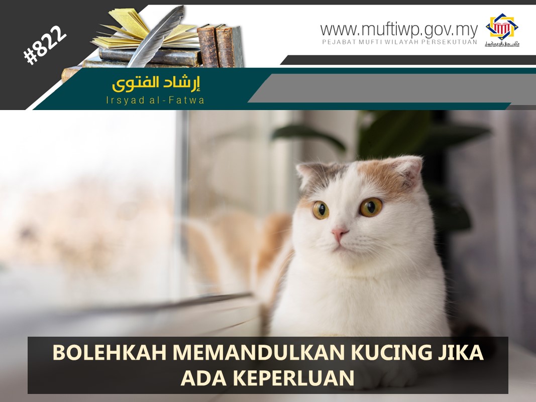 HUKUM_MEMANDULKAN_KUCING_JIKA_ADA_KEPERLUAN.jpg