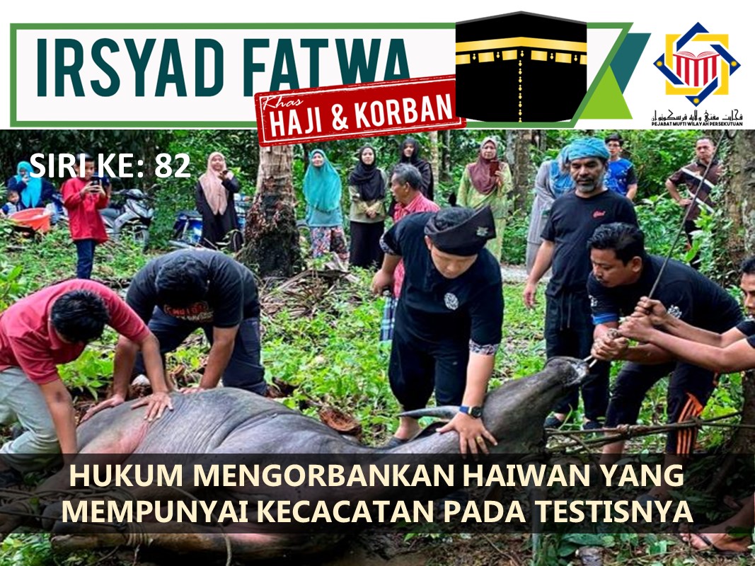 HUKUM_MENGORBANKAN_HAIWAN_YANG_MEMPUNYAI_KECACATAN_PADA_TESTISNYA.jpg