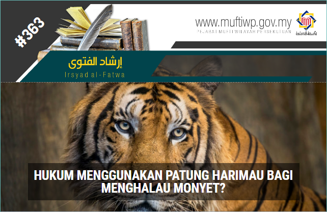 IF 363 harimau