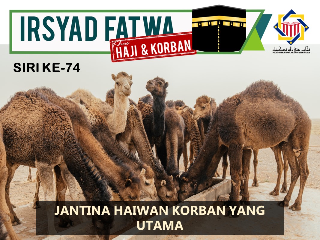 JANTINA_HAIWAN_KORBAN_YANG_UTAMA.jpg