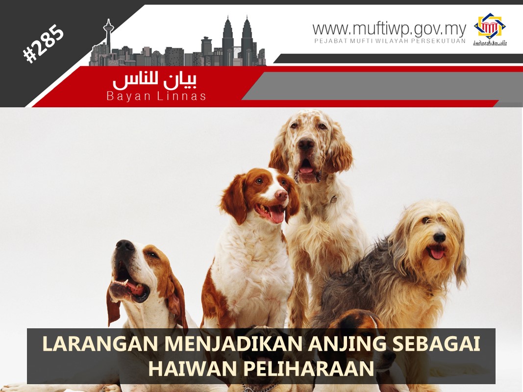 LARANGAN_MENJADIKAN_ANJING_SEBAGAI_HAIWAN_PELIHARAAN.jpg