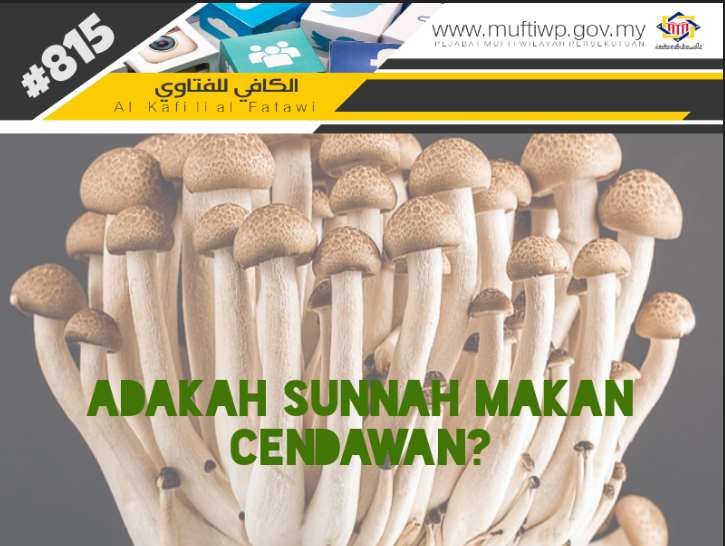 Semua Jenis Cendawan