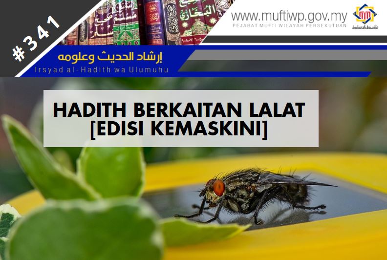 lalat kemaskini.JPG